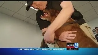 Army vet and dog reunited