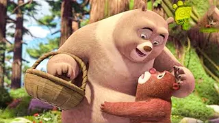 Boonie Bears 🐻🐻 The Cricle Life 🏆 FUNNY BEAR CARTOON 🏆 Full Episode in HD