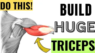 5 Best Exercises to BUILD HUGE TRICEPS FAST!