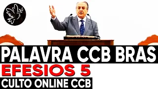 Palavra CCB BRAS EFESIOS 5 DOMINGO 11-06 Ir. Salvador Bueno (Culto Online CCB)