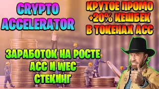 CRYPTO ACCELERATOR - заработок на росте ACC и WEC, стекинг.  Крутое промо +20% кешбек в токенах ACC.