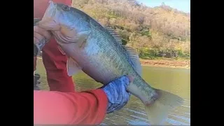 Lake Berryessa Bass Tournament (1st place win)