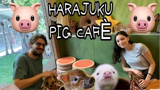 HARAJUKU PIG CAFE’ (eng sub)