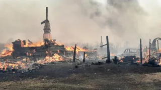 Сгорела дотла деревня Логоушка в Курганской области. От домов почти нечего не осталось