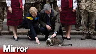 Larry the cat greets Ukrainian ambassador