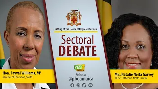 Sitting of the House of Representatives || Sectoral Debate - May 17, 2023
