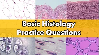 Identifying Tissues | Review and Practice