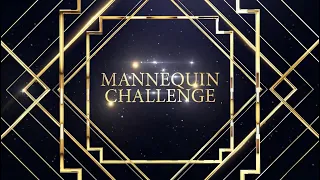 #MannequinChallenge Netpeak Group