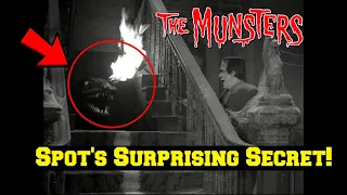 The Munsters | Revealed: What You Never Knew About SPOT!