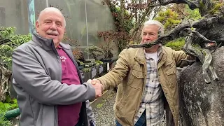 Dan Robinson : The Legendary Veteran of American Bonsai