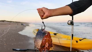 using big chunks of MEAT to catch sharks at the beach