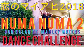 "NUMA NUMA 2" - DAN BALAN FT. MARLEY WATERS | KENJI | 20,9,2018 | ELP H.F.C Project | 恋のマイアヒ2018