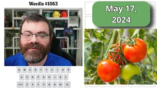 The various tomato forms | Wordle #1063 (May 17 2024)
