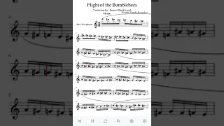 Flight of the Bumblebee Alto Saxophone (Warning: Very Hard)