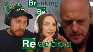 Hank Going NUTS... Breaking Bad REACTION! 3x6 "Sunset" // Breakdown + Review | First-Time Watching