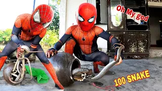 Brave Spider-Man Faces 100 Fierce Dragon Snakes Laying Eggs | New Hunter