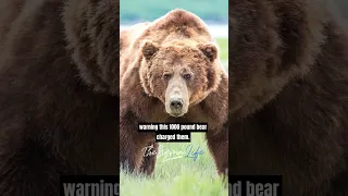 Horrific Kodiak Bear Attack - Joe Rogan