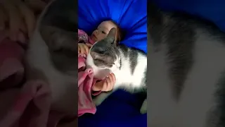Кошка убаюкивает ребёнка)