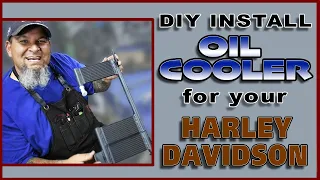 DIY INSTALL Oil Cooler for your Harley Davidson!