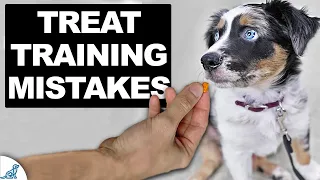 5 COMMON Puppy Training Mistakes You Want To Avoid!