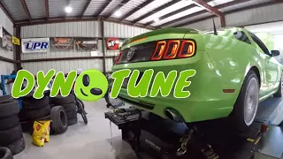 Got to Have it Green 3.7L V6 Mustang on the DYNO getting #MafiaTuned