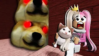 "MACAM MANA KEPALA ANJ1NG NI BOLEH HIDUP LAGI"?!! [ DOGE HEAD ESCAPE ] ROBLOX MALAYSIA