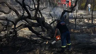 Σε ύφεση η πυρκαγιά στην Αιγιάλεια  -Στους 16 οι τραυματίες