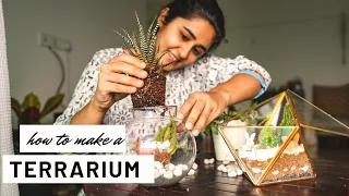 How to Make a Cute Terrarium| Super Easy and Quick