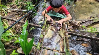 Discovering a school of fish, Phu used many trees to weave fish traps.| Triệu Phú - Poor Boy.