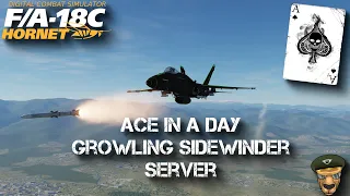 DCS World 2.5.6 - F/A-18C Lot 20 ACE in a day - Growling Sidewinder PvP