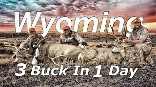 3 Muley Buck in 1 Day (Wyoming Mule Deer Hunt)