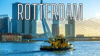 ROTTERDAM ft. ERASMUSBRUG, Nieuwe MAAS River and Monument De BOEG