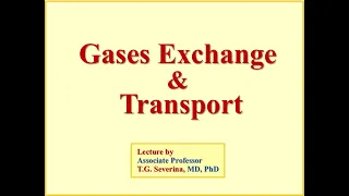 Lecture 20  Gases Exchange and Transport