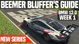 iRacing | BMW 12.0 (M8 GTE) Bluffer's Guide: Week 1 - Lime Rock Park GP