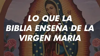 Lo que La Biblia Habla y Enseña de La Virgen Maria Dr. Carlos Andres Murr