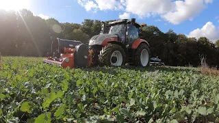 Farm Vlog #207 Steyr an der Leistungsgrenze ? |W-Gerste Aussaat | Baggern