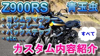 Z900RS 愛車カスタム紹介 青玉虫