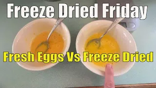 Freeze Dried Friday / Comparison of Fresh Vs Freeze Dried Eggs