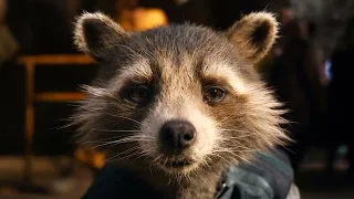 Rocket Raccoon | After Hours