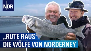 Die Wölfe von Norderney | Rute raus, der Spaß beginnt! | NDR