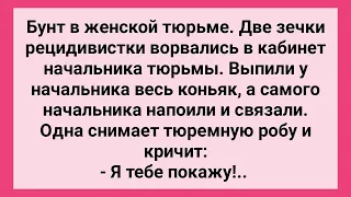 Две Зечки Напоили и Связали Начальника Тюрьмы! Сборник Свежих Смешных Жизненных Анекдотов!