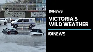 Flash flooding across Victoria as wild weather strikes | ABC News