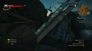 Witcher 3 glitch