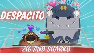 ZIG AND SHARKO DESPACITO EDIT || ZIG AND SHARKO #zigandsharko#despacito