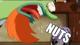 NUTS BOIS