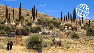 Huascaran National Park, Peru  [Amazing Places 4K]