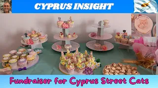 Fundraiser for Cyprus Street Cats - Helping our Furry Friends.