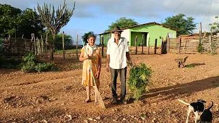 SEU RUFINO E DONA TEREZINHA FAZENDO A LIMPEZA DO TERREIRO NO SERTÃO MAMOEIRO, VERDEJANTE PERNAMBUCO.