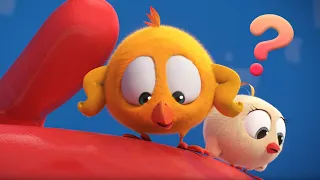 Where's Chicky? Funny Chicky 2023 | NEW TOY | Cartoon in English for Kids | New episodes