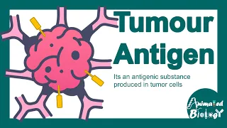 Tumour antigens | Tumour specific antigen | Tumour-associated antigen | Tumour immunity